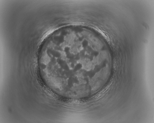 X0000115741263200912031420