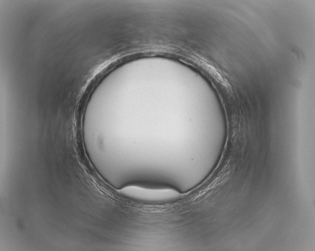 X0000115741264200912031420