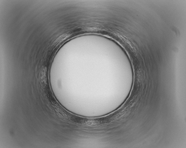 X0000115741265200912031420