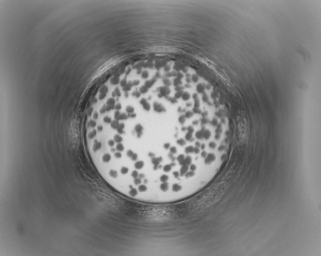 X0000115741266200912031420