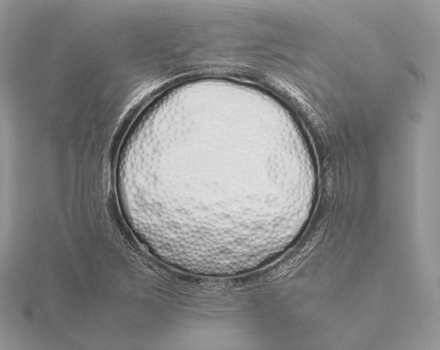 X0000115741267200912031420