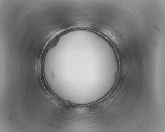 X0000115741268200912031420