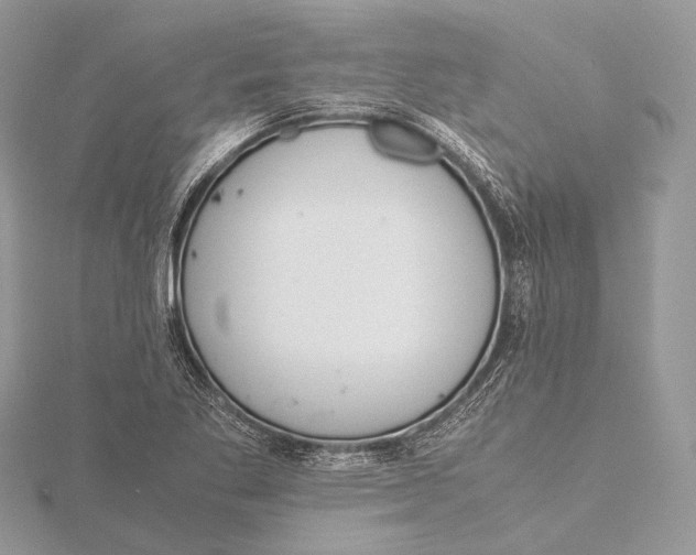 X0000115741269200912031420