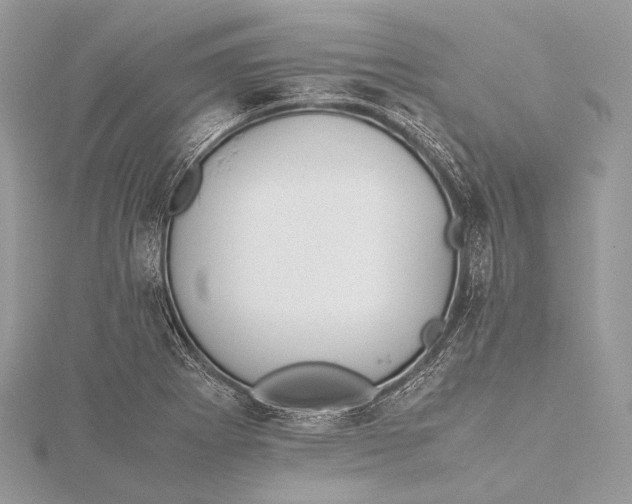 X0000115741273200912031420