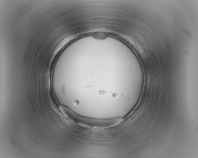 X0000115741274200912031420