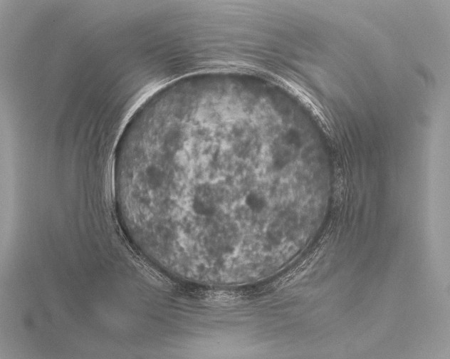 X0000115741275200912031420