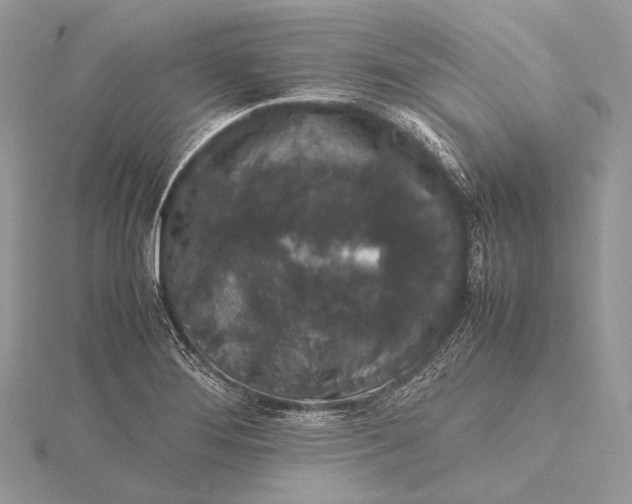 X0000115741276200912031420