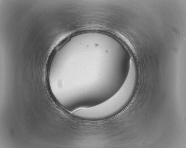 X0000115741277200912031420