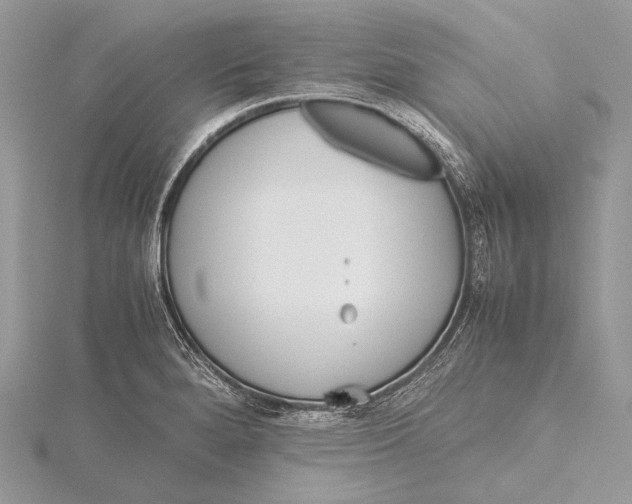 X0000115741280200912031420