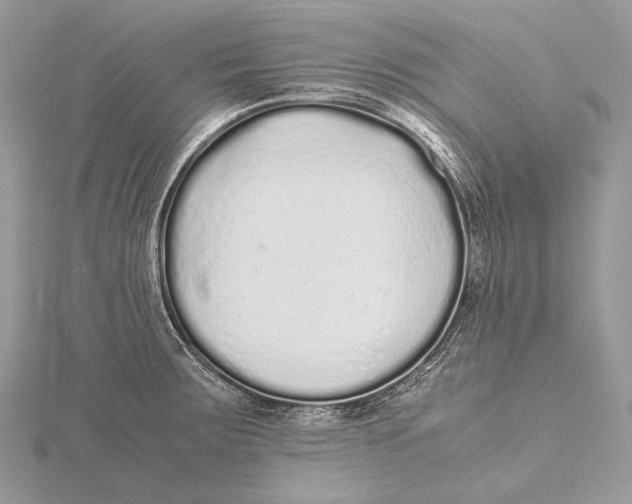 X0000115741283200912031420