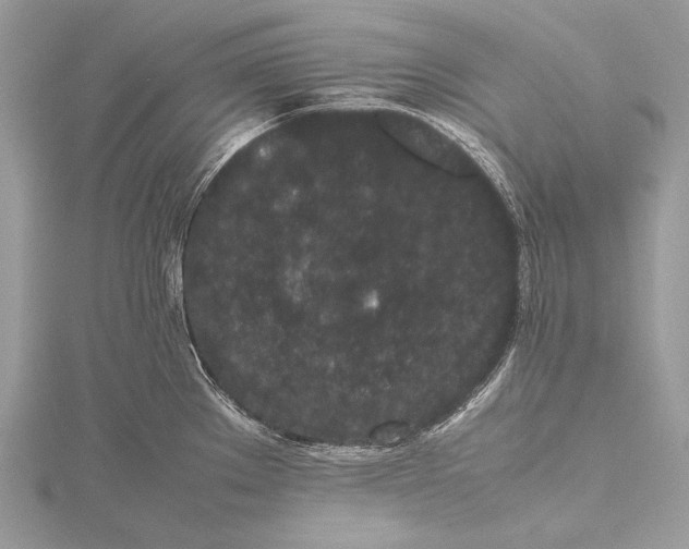 X0000115741289200912031420