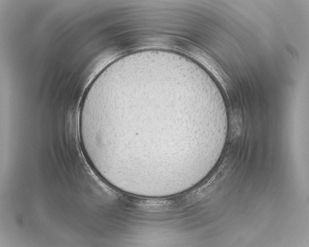 X0000115741290200912031419