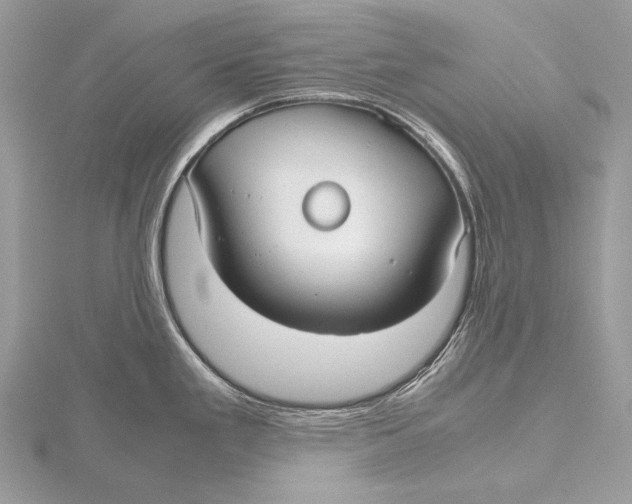 X0000115741293200912031419