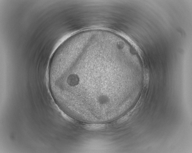 X0000115741294200912031419