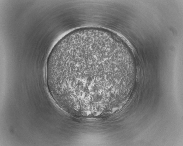 X0000115741295200912031419