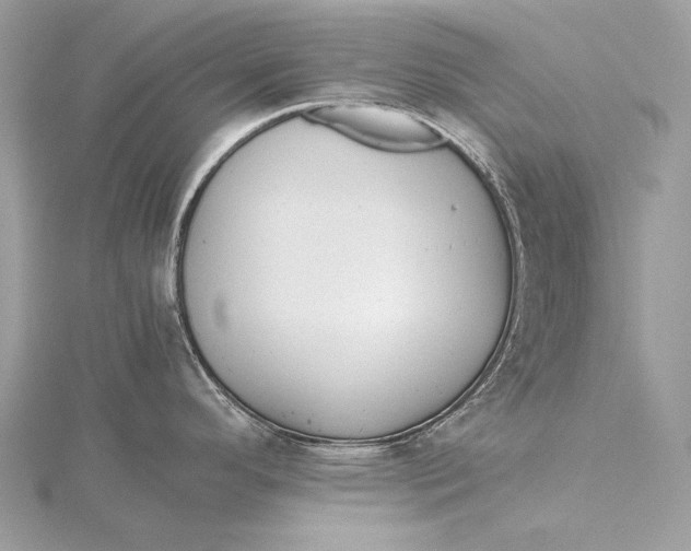 X0000115741296200912031419