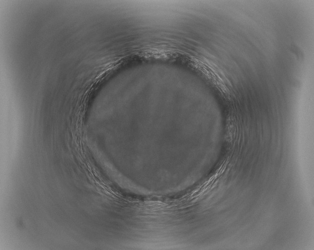 X0000115741297200912031419