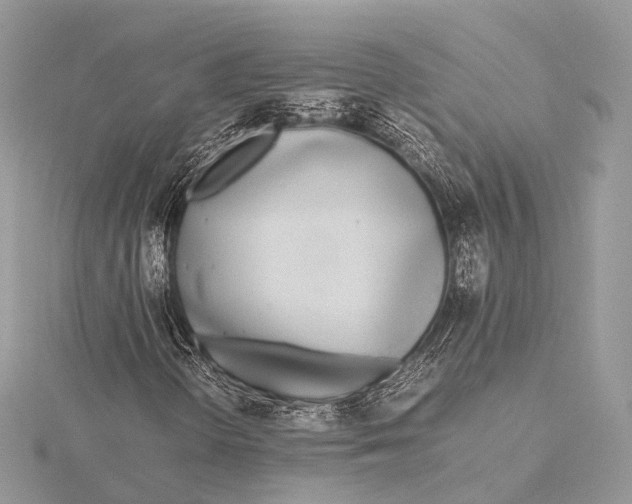 X0000115741298200912031419