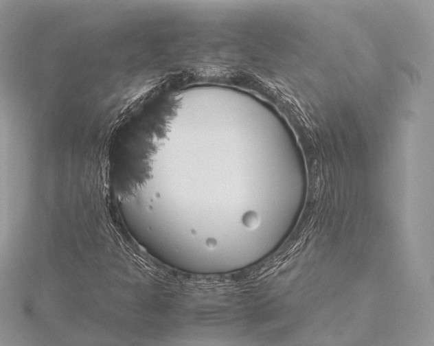 X0000115741301200912031419