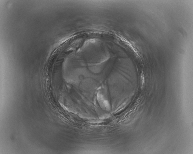 X0000115741303200912031419