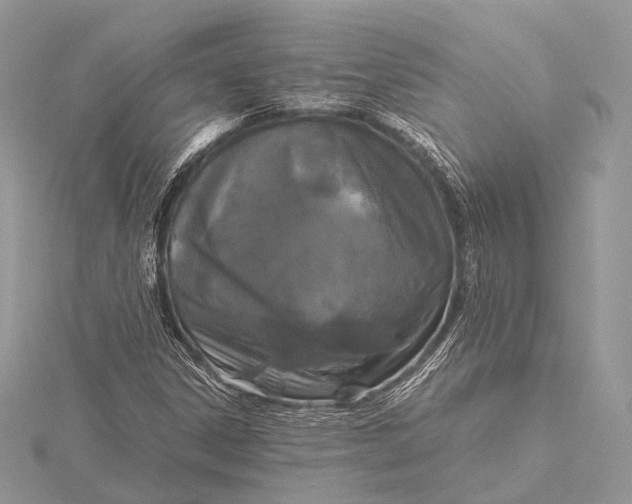 X0000115741306200912031419