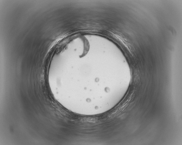 X0000115741307200912031419