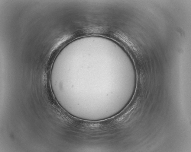 X0000115741309200912031419