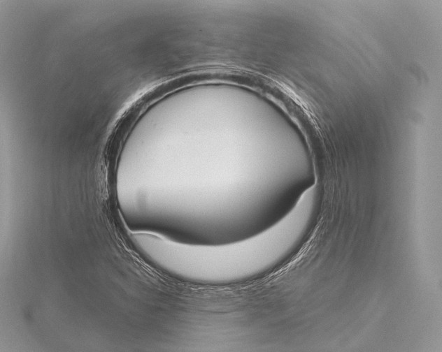 X0000115741310200912031419