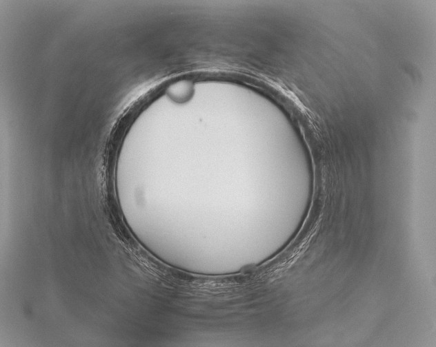 X0000115741311200912031419