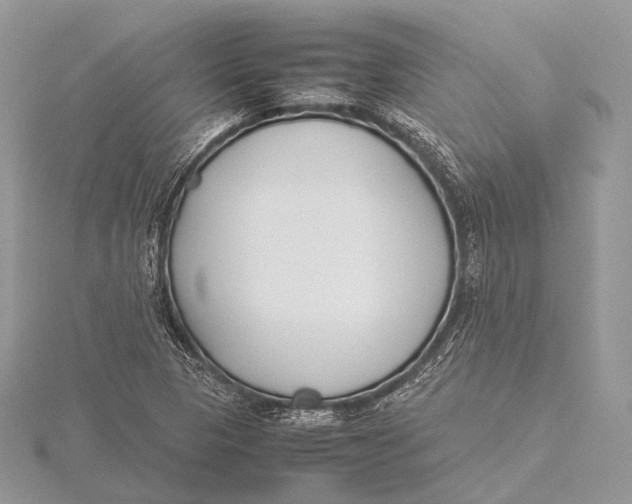 X0000115741313200912031419