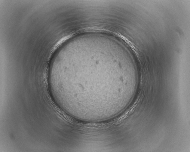 X0000115741314200912031419