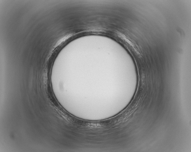 X0000115741315200912031419