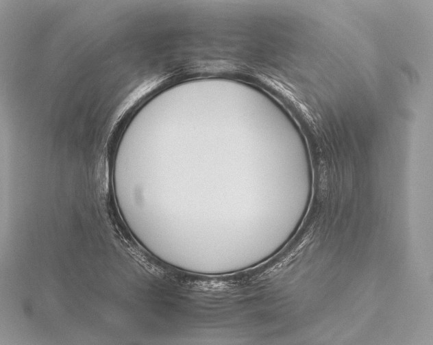 X0000115741317200912031419