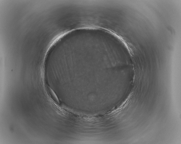 X0000115741319200912031419