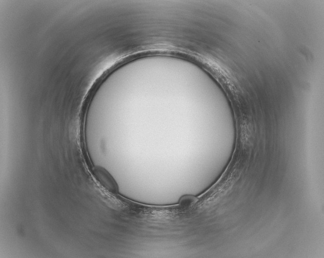 X0000115741326200912031419