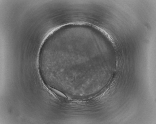 X0000115741327200912031419