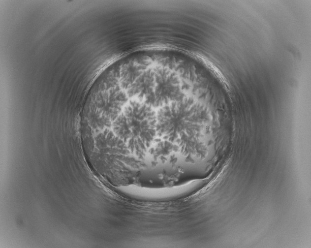 X0000115741329200912031419