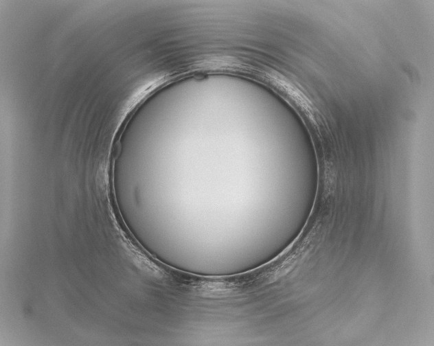 X0000115741330200912031419