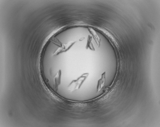 X0000115741333200912031419