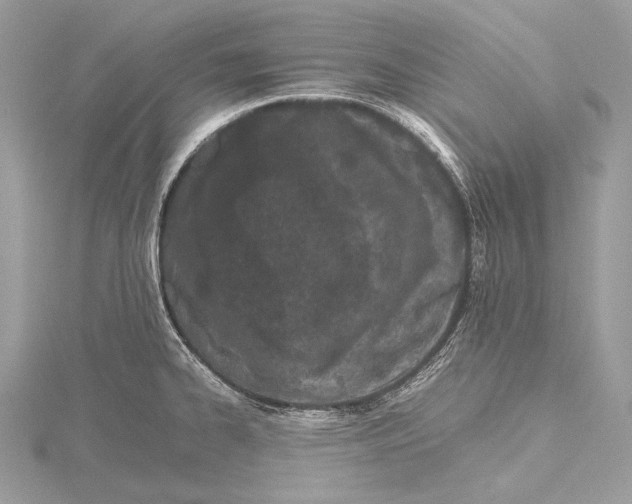 X0000115741334200912031419