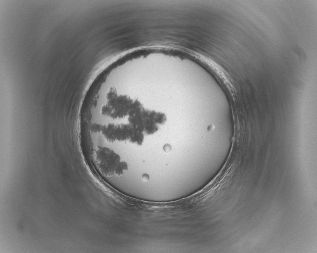 X0000115741335200912031419