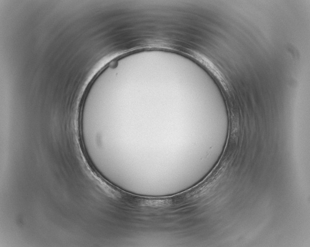 X0000115741339200912031419