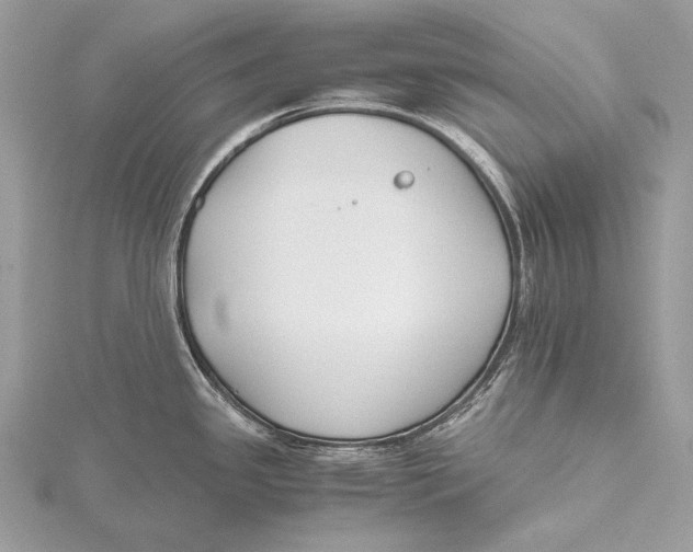 X0000115741341200912031419