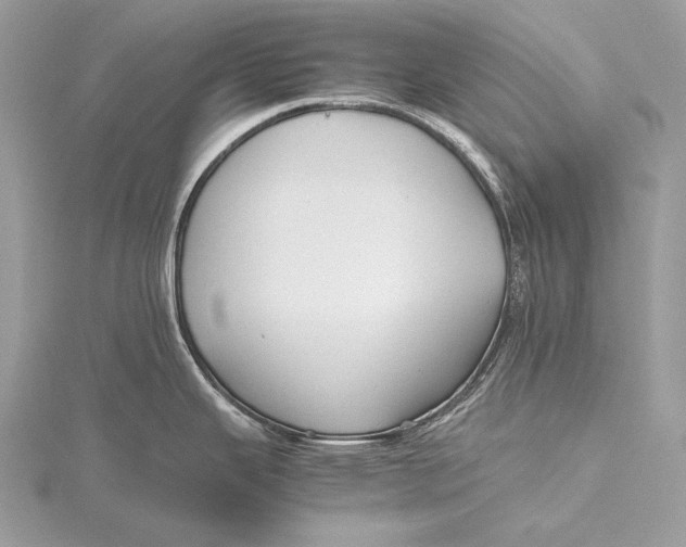 X0000115741343200912031419