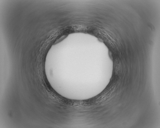 X0000115741345200912031419