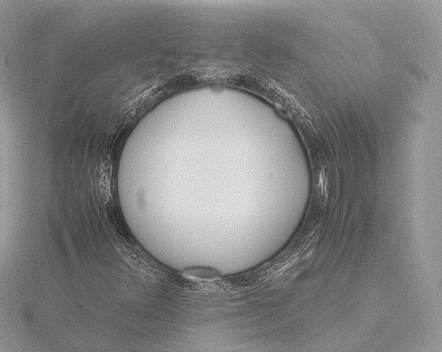 X0000115741348200912031419