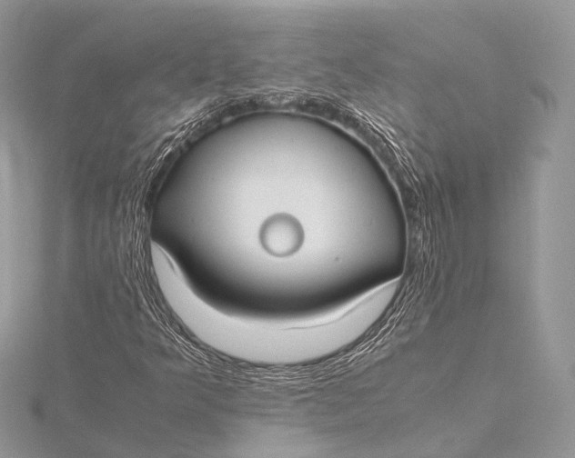 X0000115741349200912031419