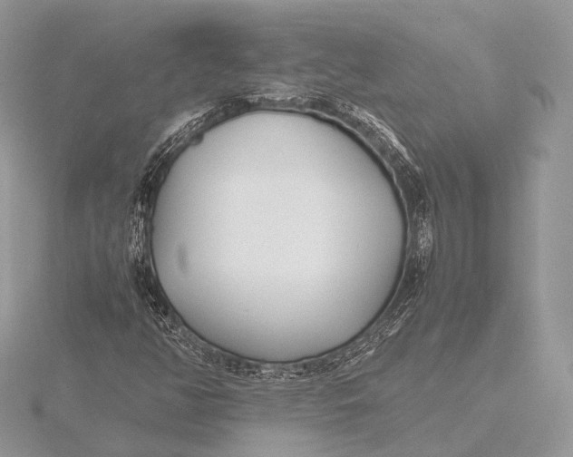 X0000115741350200912031419