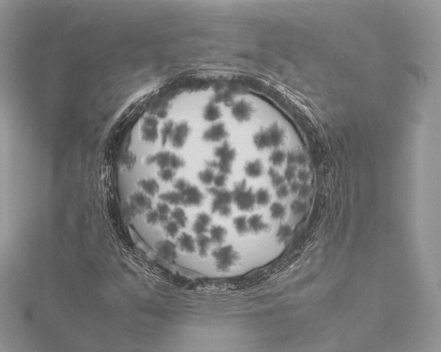 X0000115741351200912031419