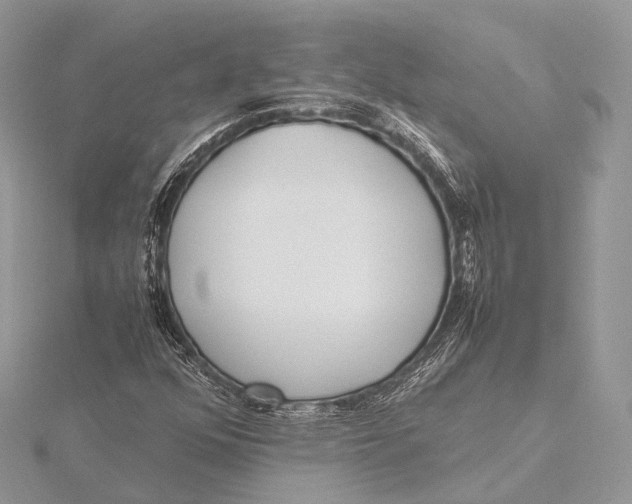 X0000115741352200912031419